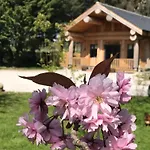 Braisty Woods - Hopes & Beams * הרוגייט