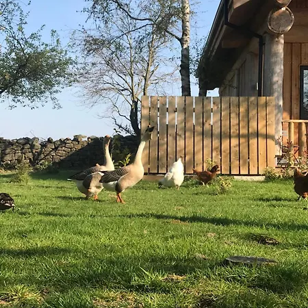 Prázdninový dům Braisty Woods - Hopes & Beams