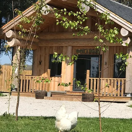 Prázdninový dům Braisty Woods - Hopes & Beams *